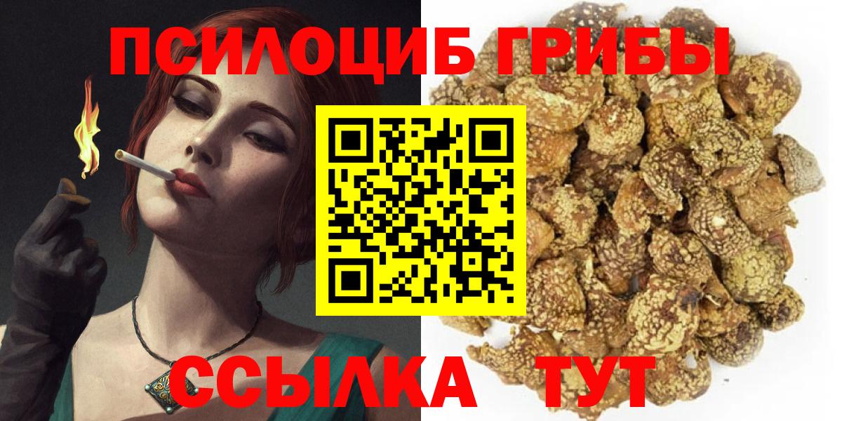 Галлюциногенные грибы MAGIC MUSHROOMS  Псилоцибиновые грибы Cubensis  Волгодонск  Вход с VPN 